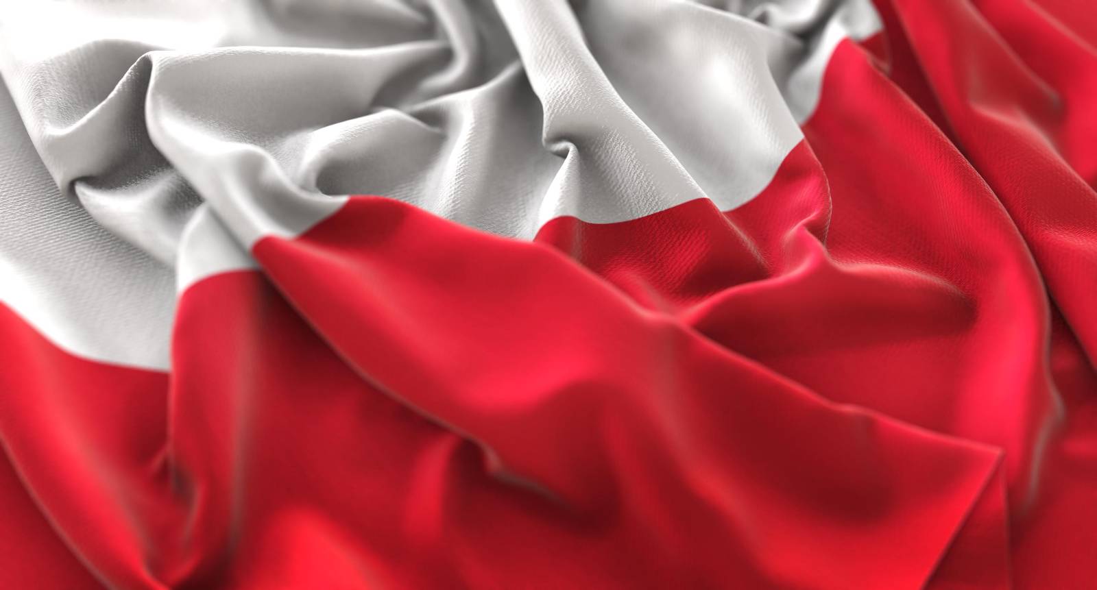 Wiadomości z kraju i ze świata: Najważniejsze informacje dnia